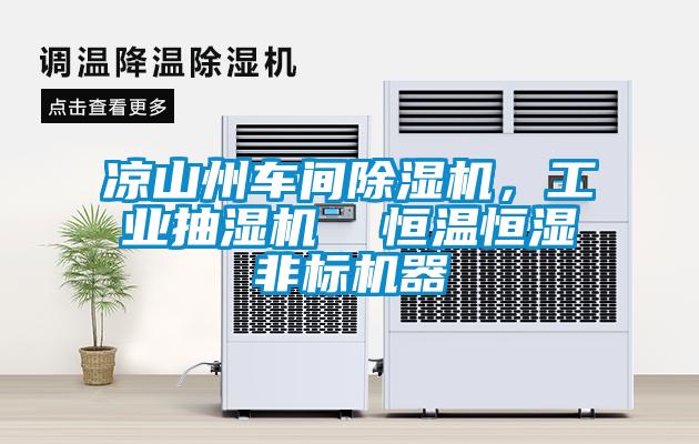 涼山州車間除濕機(jī)，工業(yè)抽濕機(jī)  恒溫恒濕非標(biāo)機(jī)器