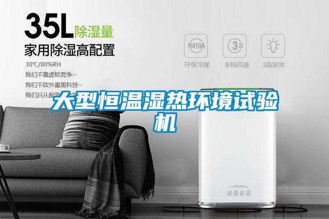 大型恒溫濕熱環(huán)境試驗機