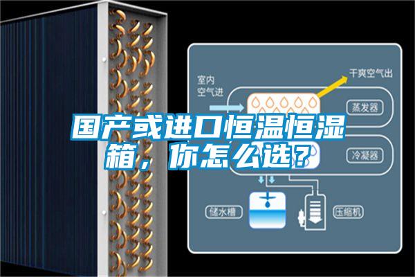 國產(chǎn)或進口恒溫恒濕箱，你怎么選？