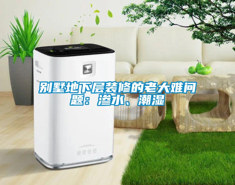 別墅地下層裝修的老大難問題：滲水、潮濕