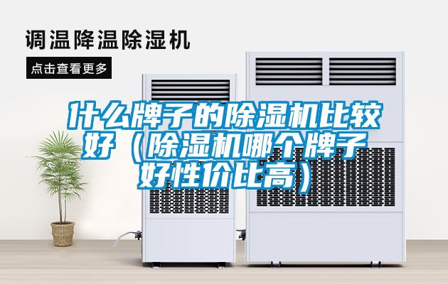 什么牌子的除濕機(jī)比較好（除濕機(jī)哪個牌子好性價比高）