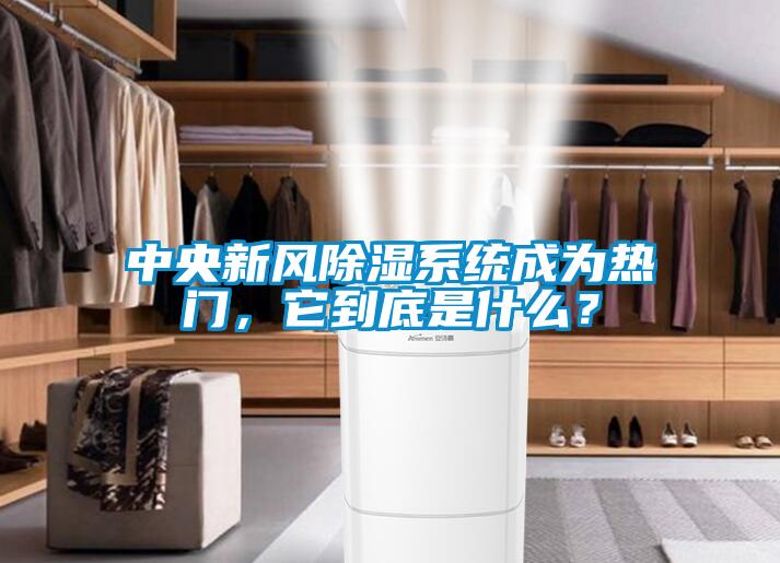 中央新風除濕系統(tǒng)成為熱門，它到底是什么？