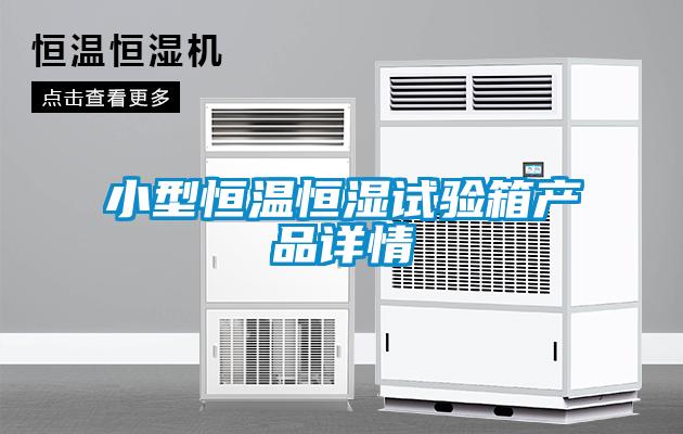 小型恒溫恒濕試驗箱產品詳情
