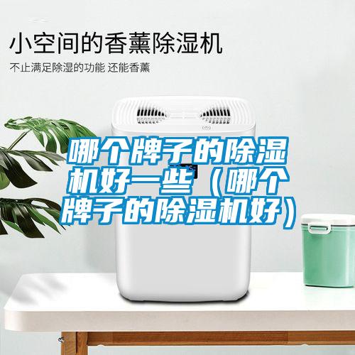 哪個(gè)牌子的除濕機(jī)好一些（哪個(gè)牌子的除濕機(jī)好）