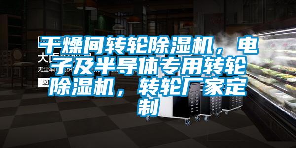 干燥間轉輪除濕機，電子及半導體專用轉輪除濕機，轉輪廠家定制