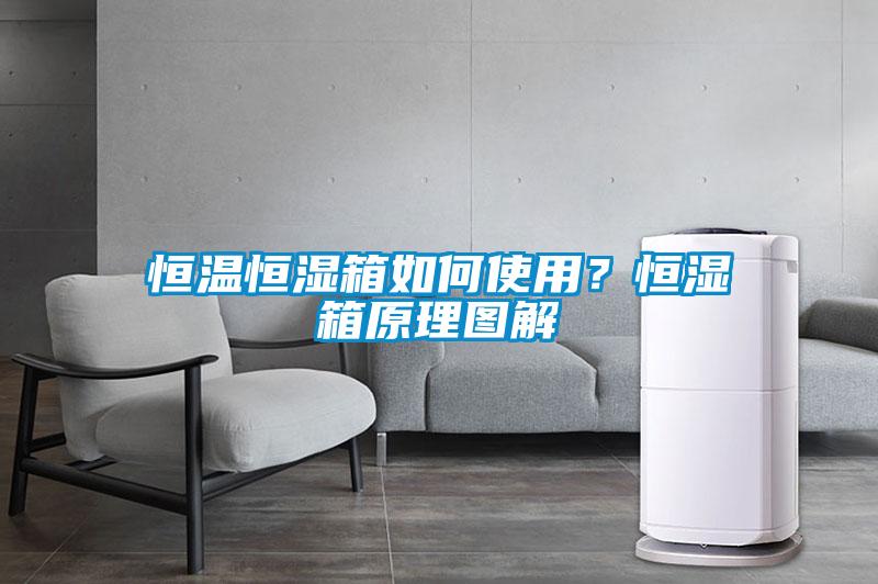 恒溫恒濕箱如何使用？恒濕箱原理圖解