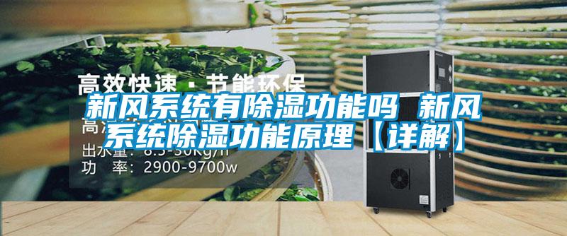 新風系統有除濕功能嗎 新風系統除濕功能原理【詳解】