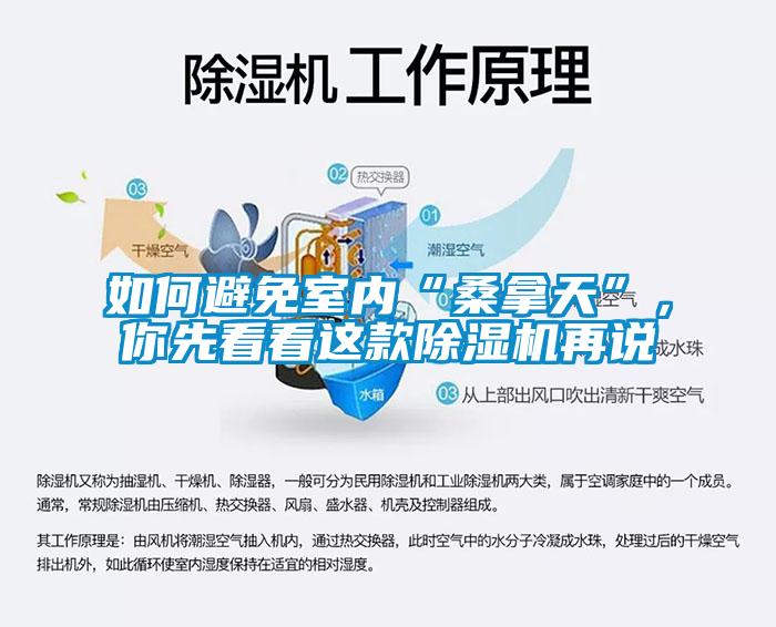 如何避免室內“桑拿天”，你先看看這款除濕機再說