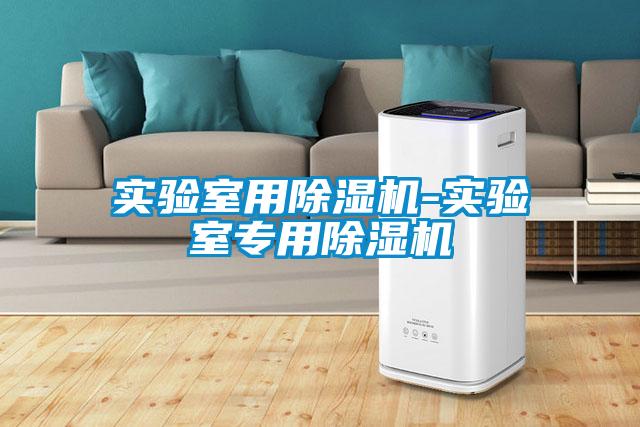 實(shí)驗(yàn)室用除濕機(jī)-實(shí)驗(yàn)室專用除濕機(jī)