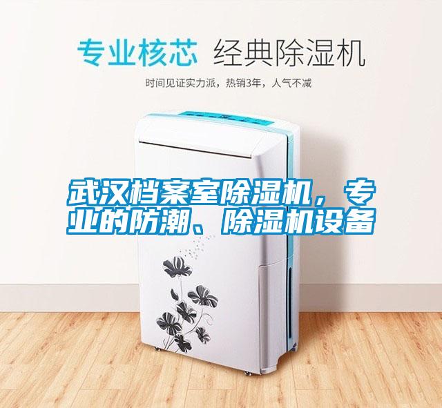 武漢檔案室除濕機，專業(yè)的防潮、除濕機設(shè)備