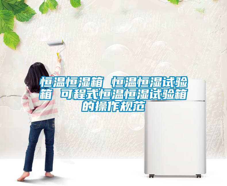 恒溫恒濕箱 恒溫恒濕試驗(yàn)箱 可程式恒溫恒濕試驗(yàn)箱的操作規(guī)范