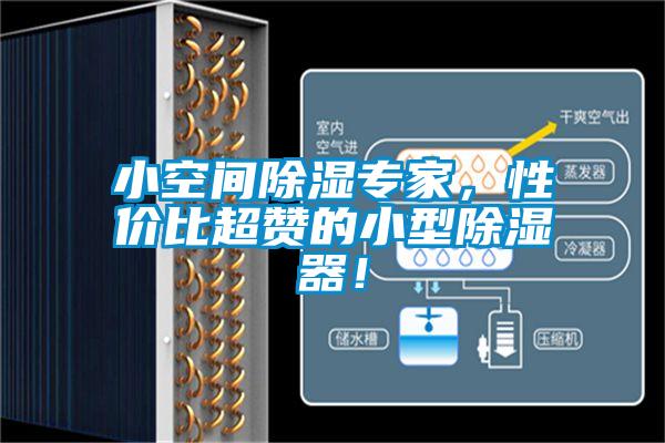 小空間除濕專家，性價比超贊的小型除濕器！