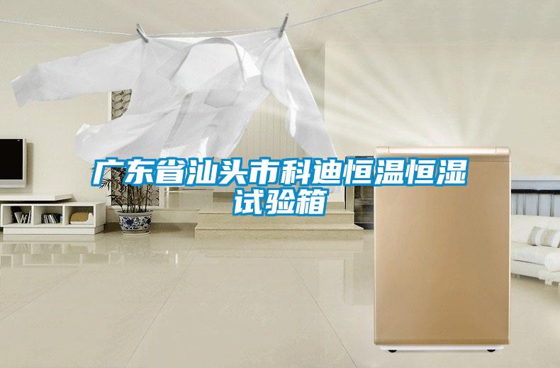 廣東省汕頭市科迪恒溫恒濕試驗(yàn)箱