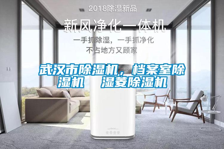 武漢市除濕機，檔案室除濕機  濕菱除濕機