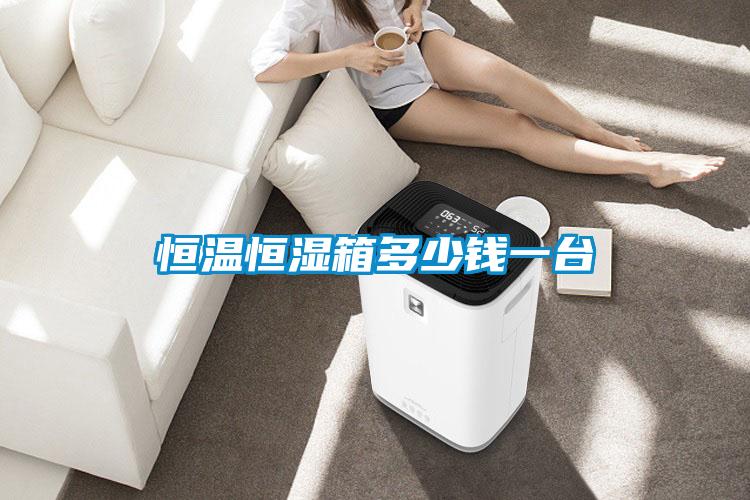 恒溫恒濕箱多少錢一臺
