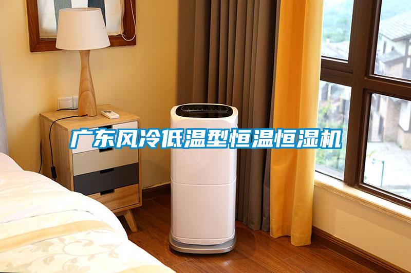 廣東風冷低溫型恒溫恒濕機