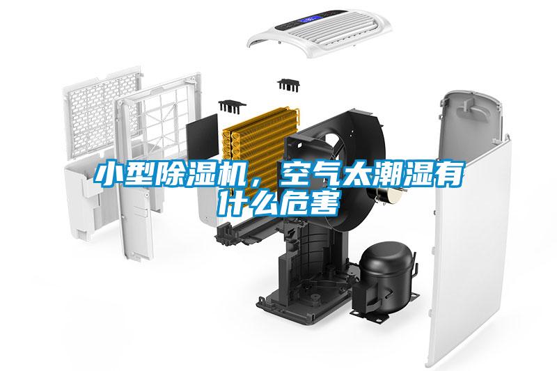 小型除濕機(jī)，空氣太潮濕有什么危害