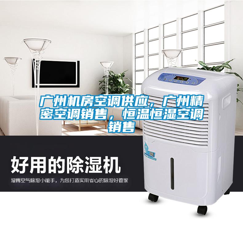 廣州機房空調供應，廣州精密空調銷售，恒溫恒濕空調銷售