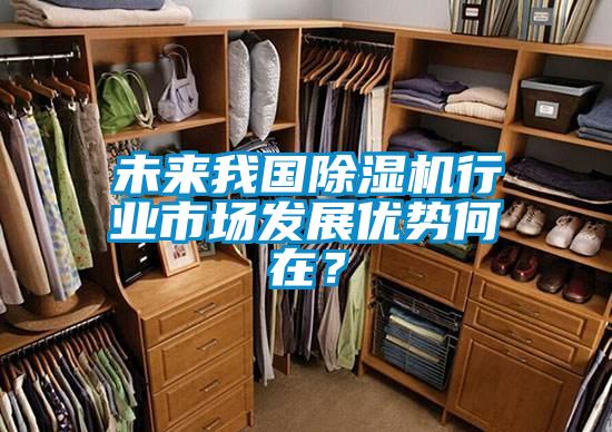 未來我國除濕機行業(yè)市場發(fā)展優(yōu)勢何在？
