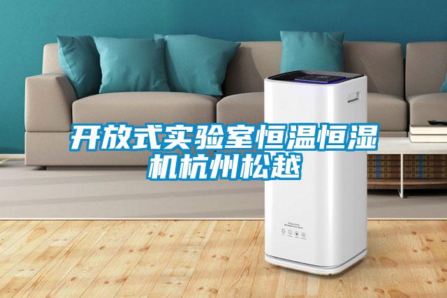 開放式實(shí)驗室恒溫恒濕機(jī)杭州松越