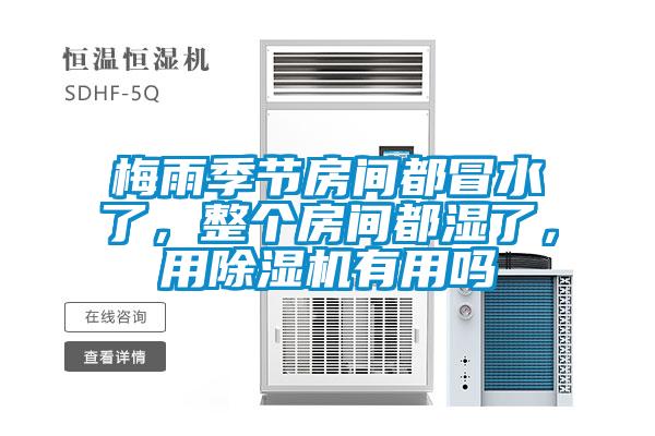 梅雨季節房間都冒水了，整個房間都濕了，用除濕機有用嗎