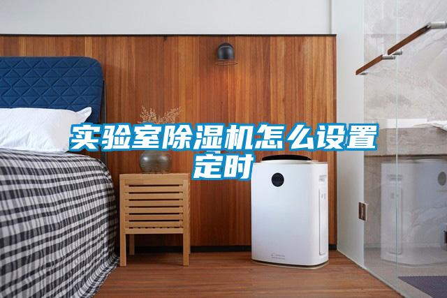 實(shí)驗(yàn)室除濕機(jī)怎么設(shè)置定時(shí)