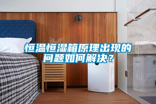 恒溫恒濕箱原理出現的問題如何解決？