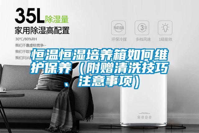 恒溫恒濕培養箱如何維護保養（附贈清洗技巧、注意事項）