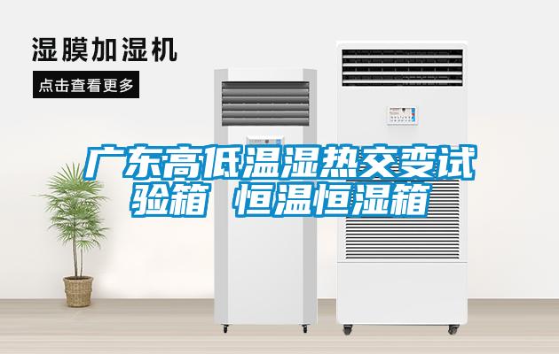 廣東高低溫濕熱交變試驗(yàn)箱 恒溫恒濕箱