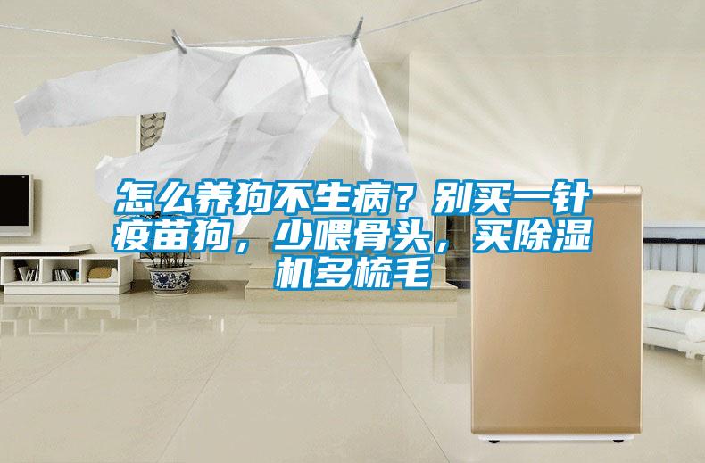 怎么養(yǎng)狗不生?。縿e買一針疫苗狗，少喂骨頭，買除濕機(jī)多梳毛