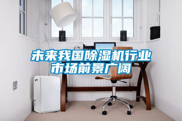 未來我國除濕機(jī)行業(yè)市場(chǎng)前景廣闊