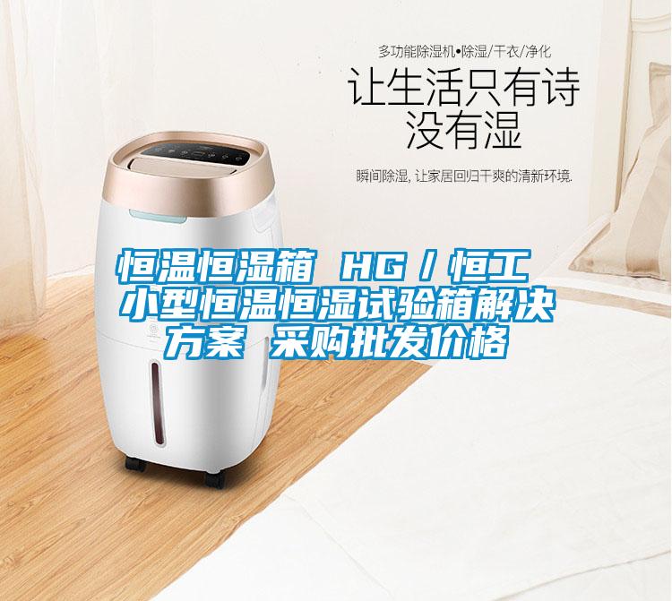 恒溫恒濕箱 HG／恒工 小型恒溫恒濕試驗(yàn)箱解決方案 采購批發(fā)價(jià)格