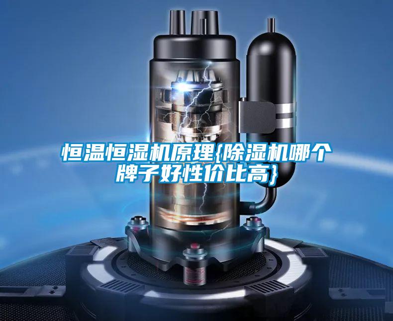 恒溫恒濕機(jī)原理{除濕機(jī)哪個(gè)牌子好性價(jià)比高}