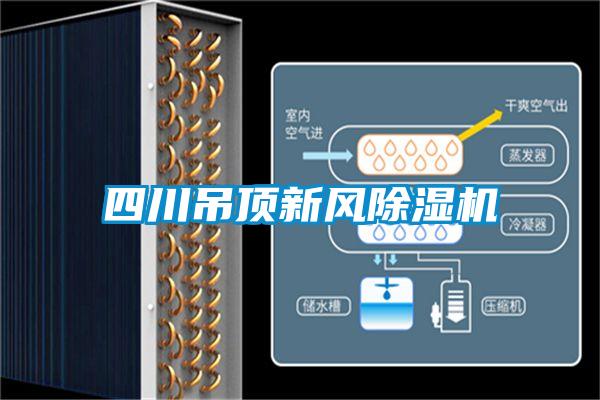 四川吊頂新風(fēng)除濕機