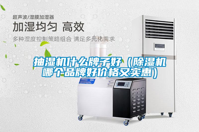 抽濕機(jī)什么牌子好（除濕機(jī)哪個(gè)品牌好價(jià)格又實(shí)惠）