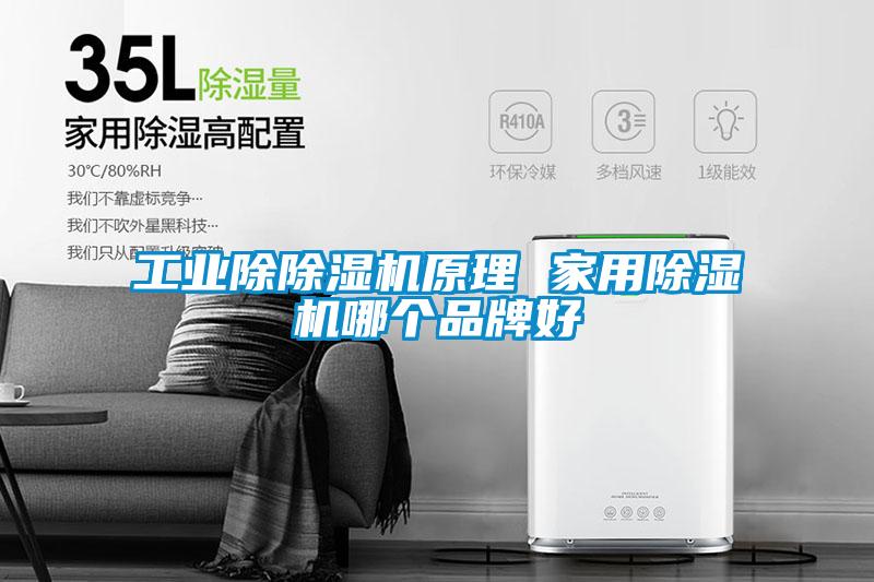 工業除除濕機原理 家用除濕機哪個品牌好