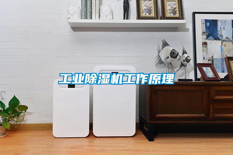 工業(yè)除濕機(jī)工作原理