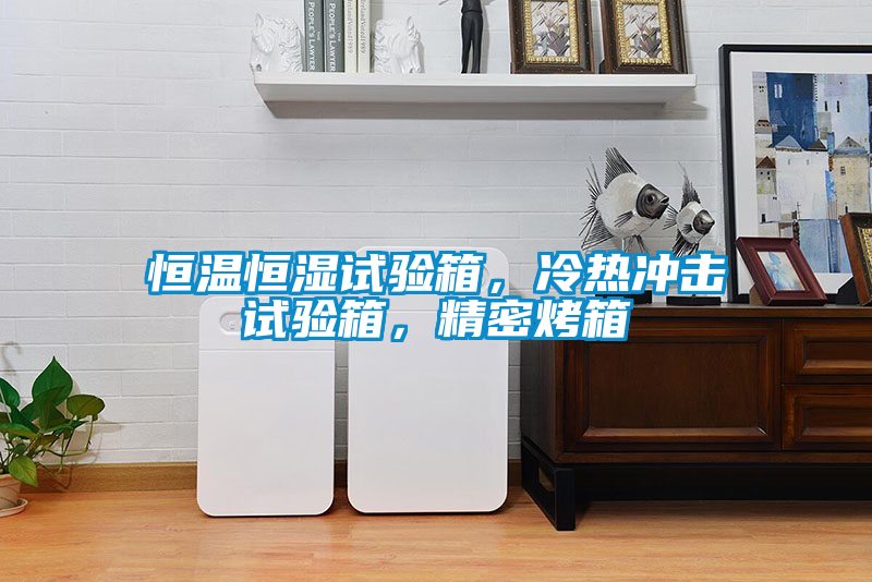 恒溫恒濕試驗箱，冷熱沖擊試驗箱，精密烤箱