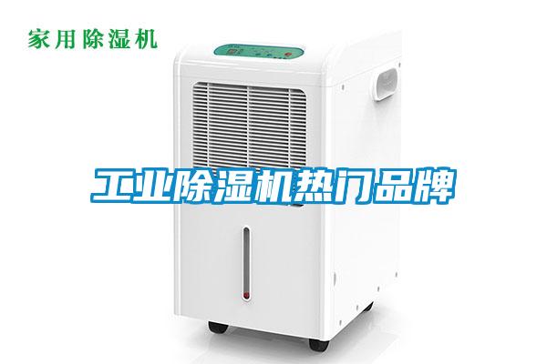 工業(yè)除濕機(jī)熱門品牌