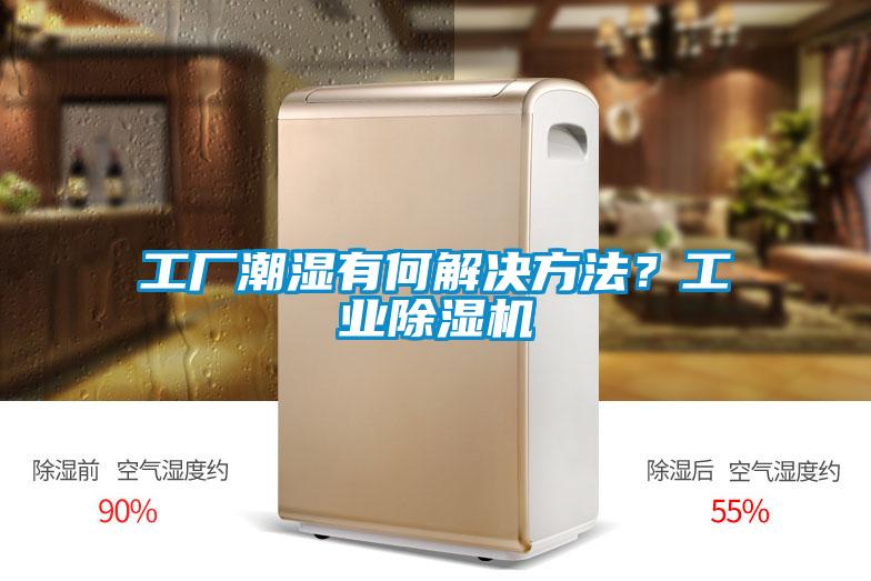 工廠潮濕有何解決方法？工業(yè)除濕機(jī)