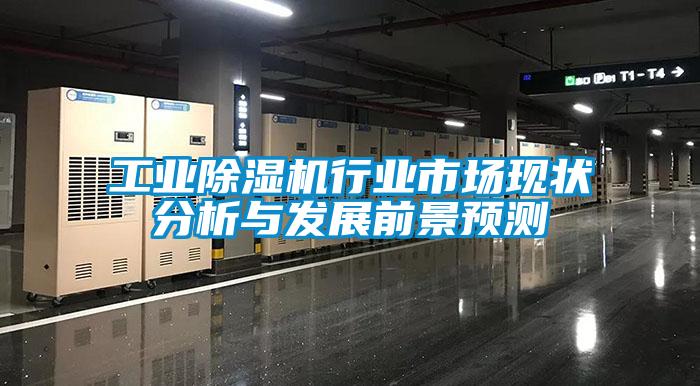 工業(yè)除濕機(jī)行業(yè)市場(chǎng)現(xiàn)狀分析與發(fā)展前景預(yù)測(cè)