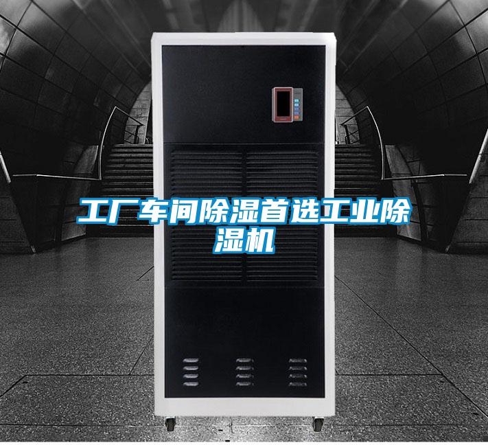工廠車間除濕首選工業(yè)除濕機