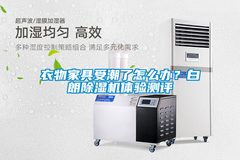 衣物家具受潮了怎么辦？白朗除濕機(jī)體驗測評