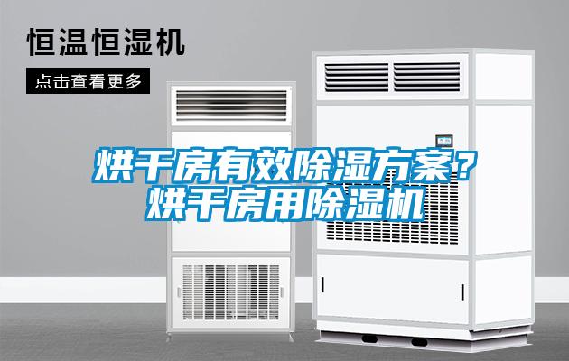 烘干房有效除濕方案？烘干房用除濕機