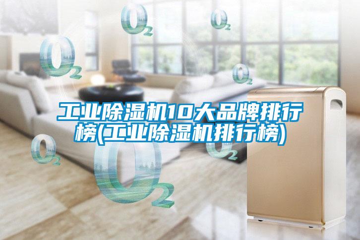 工業(yè)除濕機10大品牌排行榜(工業(yè)除濕機排行榜)