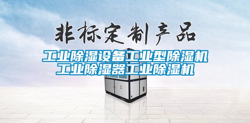 工業(yè)除濕設備工業(yè)型除濕機工業(yè)除濕器工業(yè)除濕機