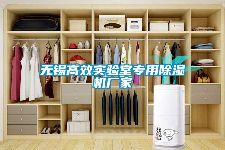 無錫高效實(shí)驗(yàn)室專用除濕機(jī)廠家