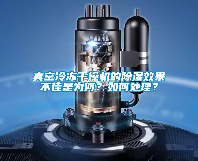 真空冷凍干燥機的除濕效果不佳是為何？如何處理？