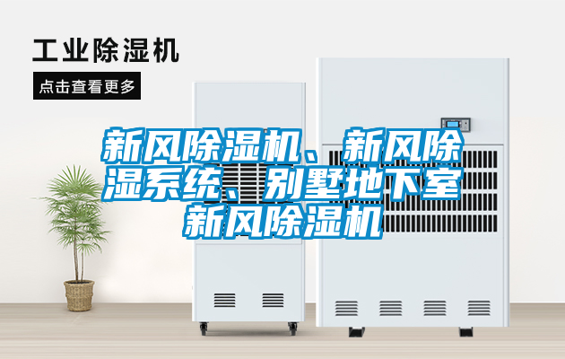 新風除濕機、新風除濕系統、別墅地下室新風除濕機