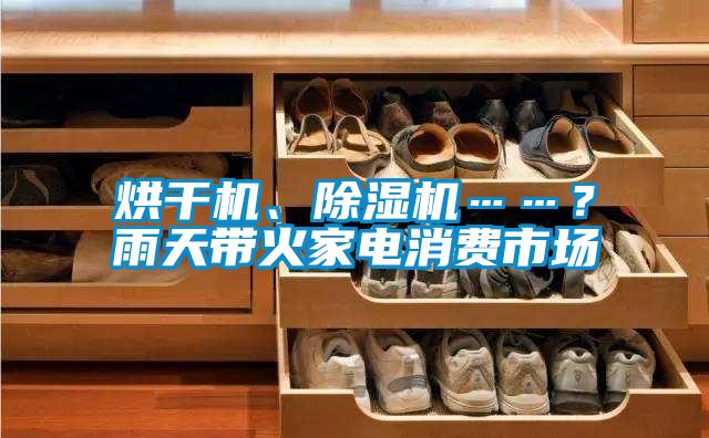 烘干機(jī)、除濕機(jī)……？雨天帶火家電消費(fèi)市場